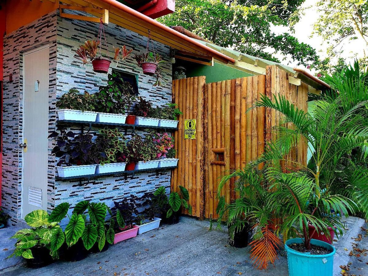 Mj'S Residences Garden Hotel Moalboal Exterior foto