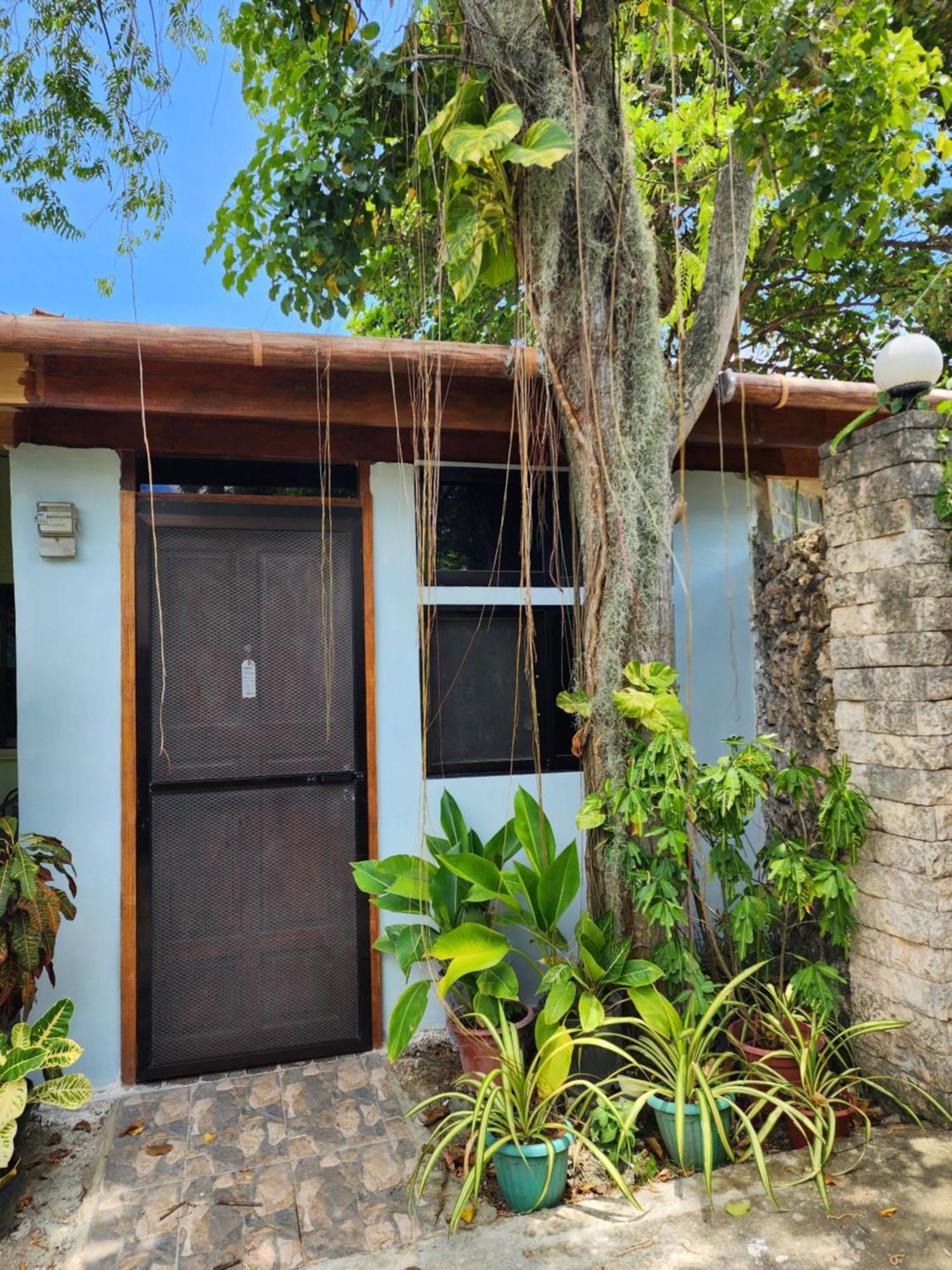 Mj'S Residences Garden Hotel Moalboal Exterior foto