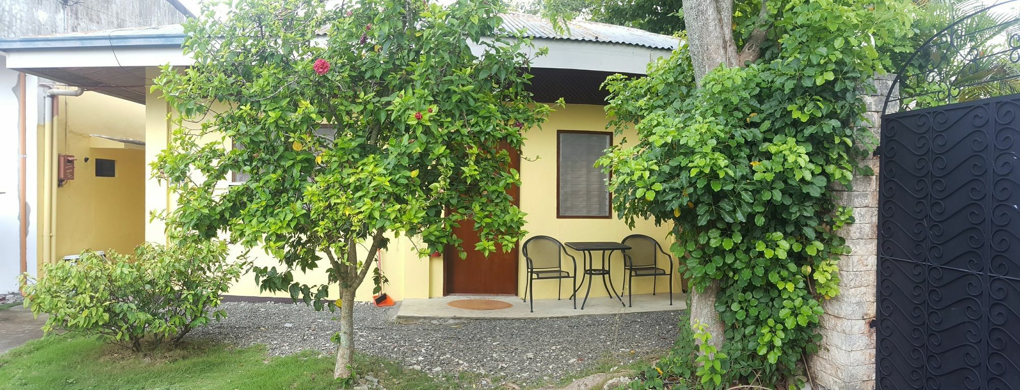Mj'S Residences Garden Hotel Moalboal Exterior foto